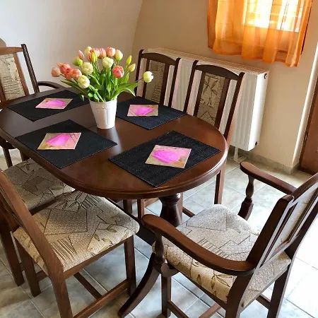 Savelij Apartment Heviz